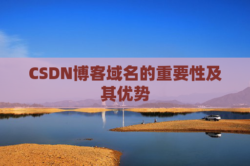 CSDN博客域名的重要性及其优势
